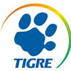 Tigre